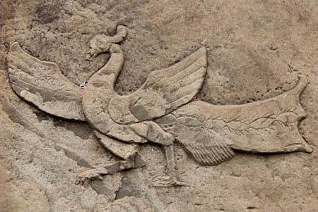 朱鸟（雀形目雀科动物）