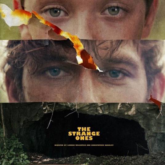 同为异类（2017年美国电影）