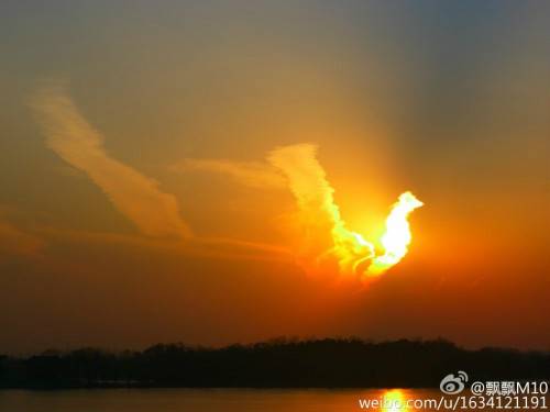 火凤凰（北京自然现象）