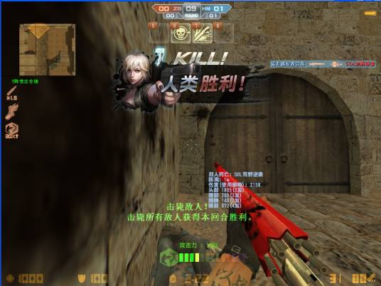 画梅（霰弹枪）