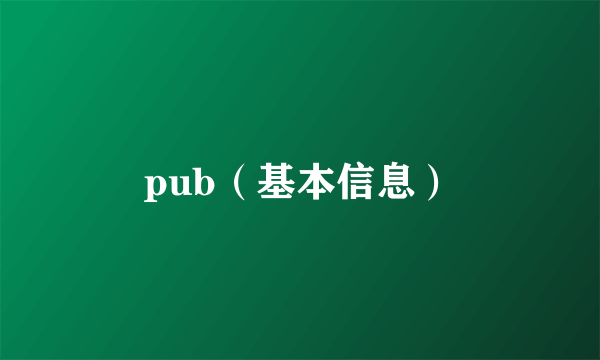 pub（基本信息）
