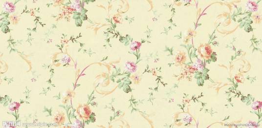 墙纸（用于裱糊墙面的室内装修材料）