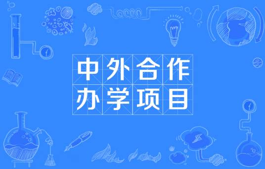 中外合作办学项目