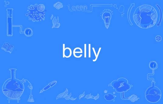 belly（英语单词）