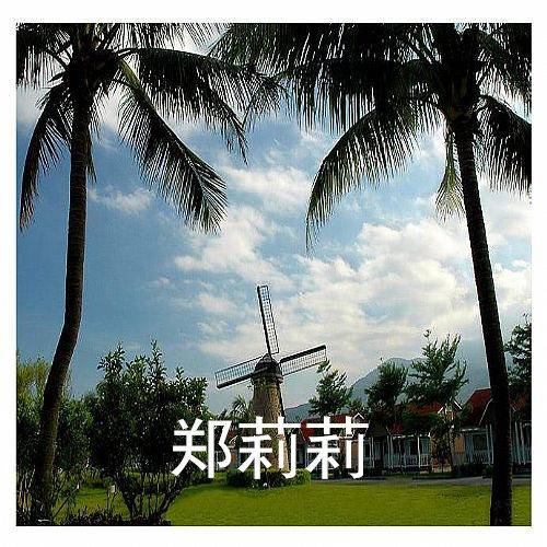 凤凰花开（郑莉莉演唱的歌曲）