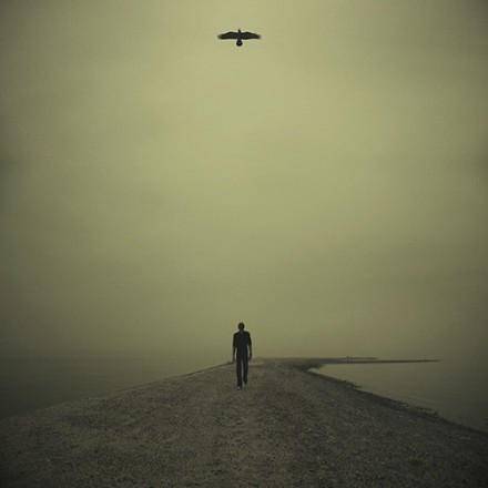 无脚鸟(《阿飞正传》中的角色)