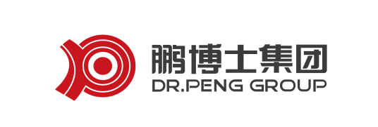 鹏博士电信传媒集团股份有限公司