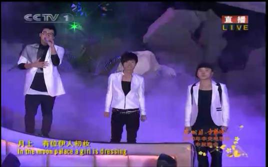 2010年央视中秋晚会