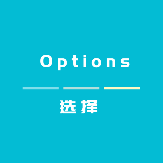 options（应用程序）