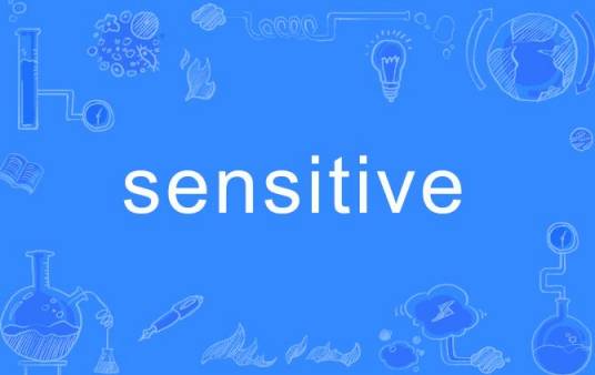 Sensitive（英语单词）