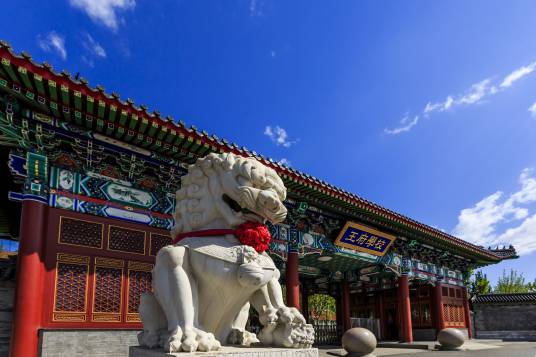 北京王府外国语学校