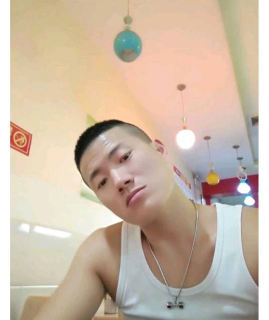 刘振华（郑州航空港区滴滴车司机、犯罪嫌疑人）