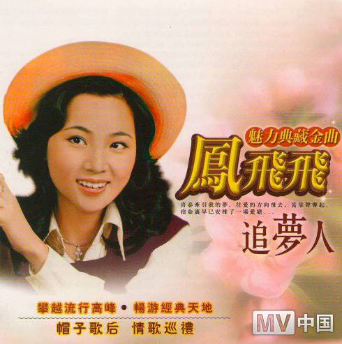 追梦人（1990年凤飞飞的演唱歌曲）