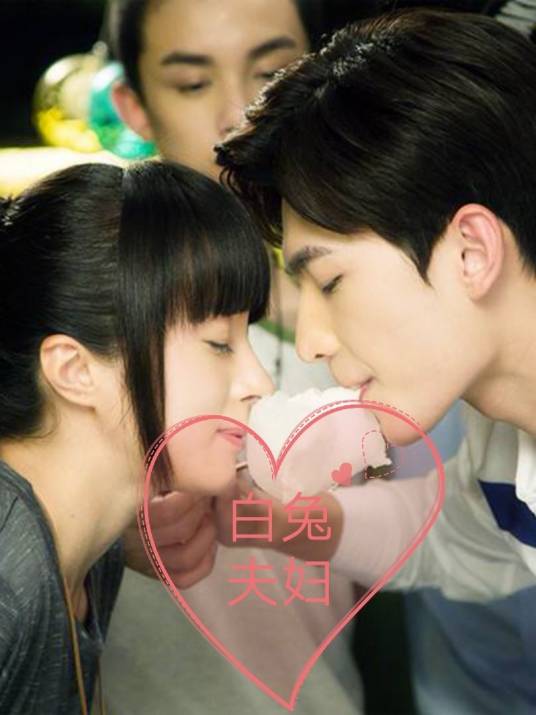 旋风少女第三季之白兔夫妇