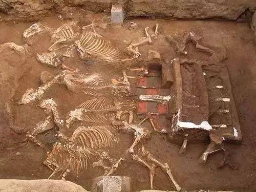 天子驾六(西安天子驾六)