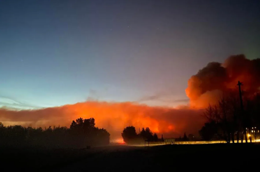 5·17加拿大丛林火灾