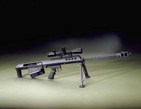 巴雷特M95（美国生产的枪击）