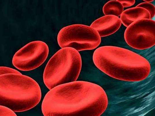 平均血红蛋白浓度