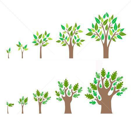 GROWTH（生物体由小到大的过程）