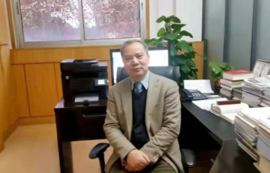 范军（华中师范大学教授）