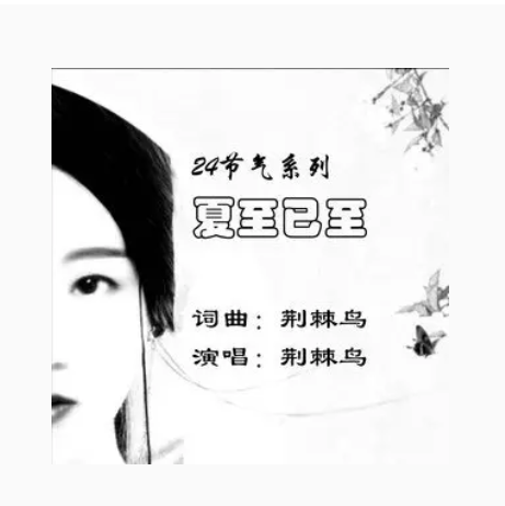 夏至已至（荆棘鸟演唱的歌曲）