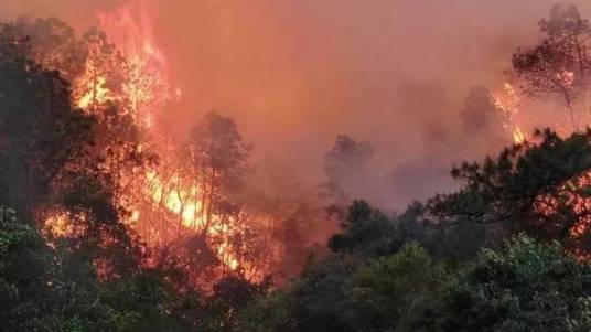 5·9安宁森林火灾