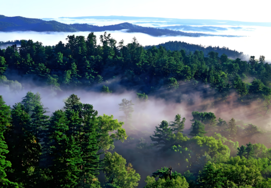 小兴安岭原始森林公园