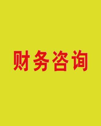 财务咨询公司