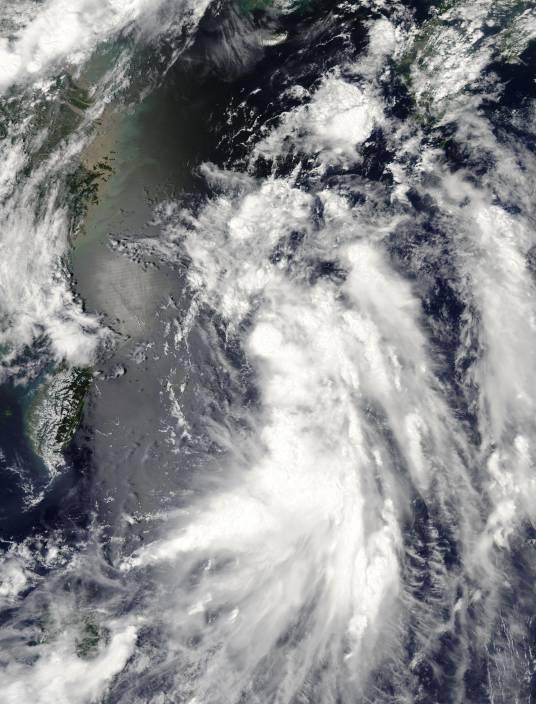 台风蔷薇（2020年第5号热带风暴）