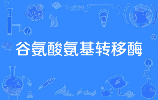 谷氨酸氨基转移酶