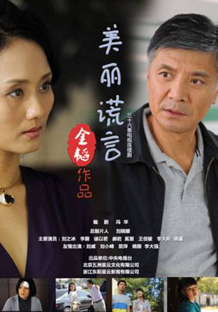 美丽谎言（2014年金韬执导的都市题材电视剧）