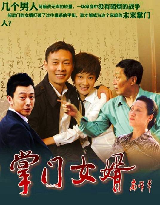 掌门女婿（2011年张译、徐梵溪主演电视剧）