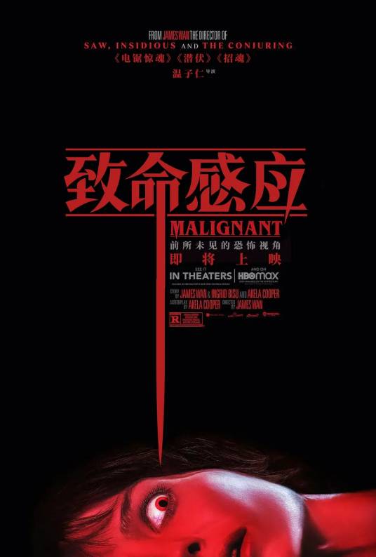 致命感应（美国2021年温子仁执导的电影）