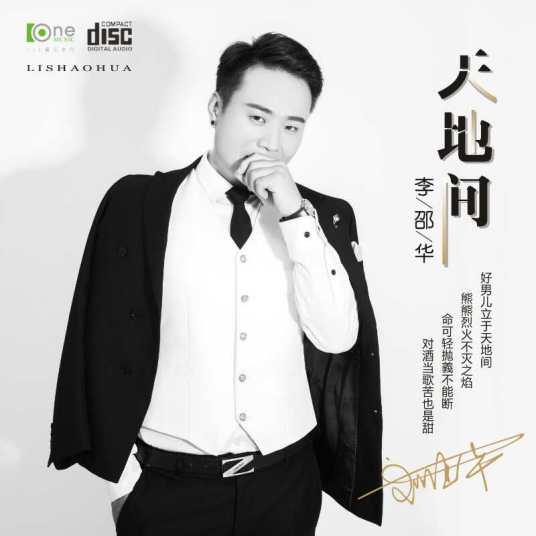 天地间（歌曲）