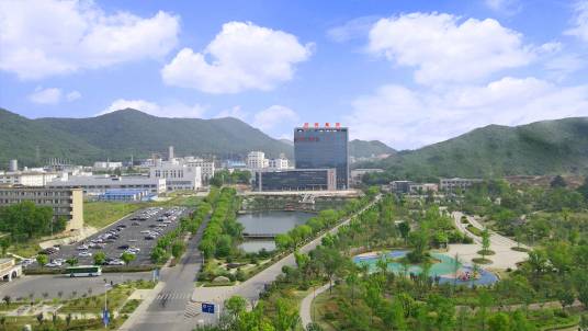 安徽皖维集团有限责任公司