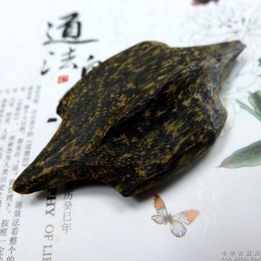 加里曼丹岛沉香