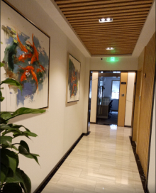 律到(上海)法律咨询有限公司