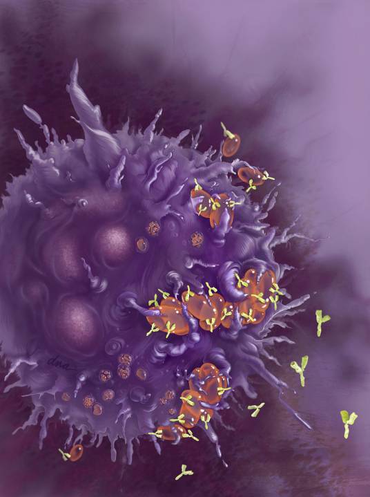 自身抗体（针对自身组织，器官、细胞及细胞成分的抗体）