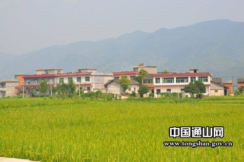 富有村（云南省晋宁县晋城镇富有村）