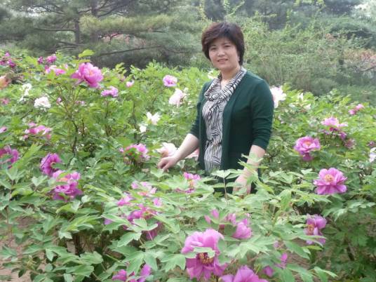 徐丽（书画家）