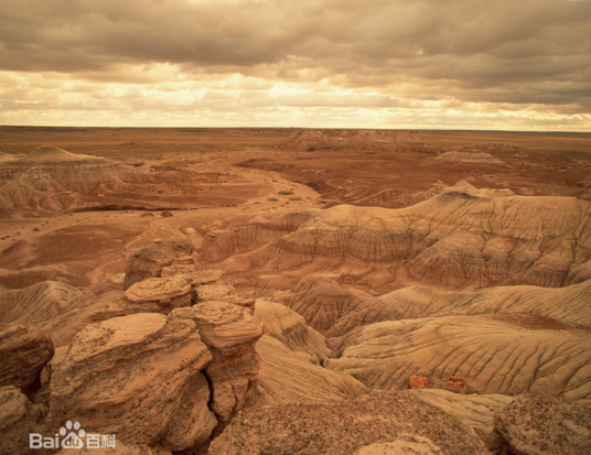 戈壁（地理词语）