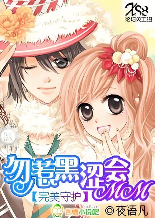 完美守护：勿惹黑涩会MM