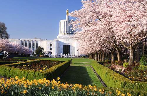 塞勒姆（美国俄勒冈州城市）