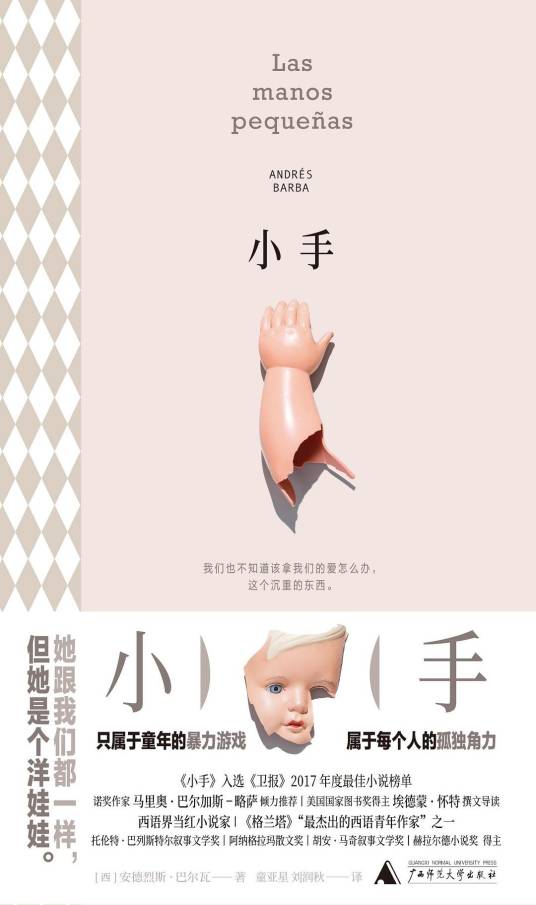 小手（2020年广西师范大学出版社出版的图书）