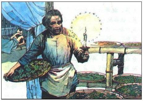 春蚕（巴金创作的记叙文）