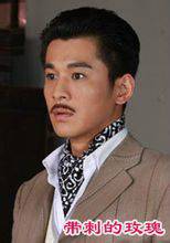 带刺的玫瑰（2011年乔振宇主演电视剧）