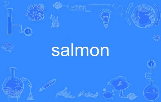 salmon（英文单词）