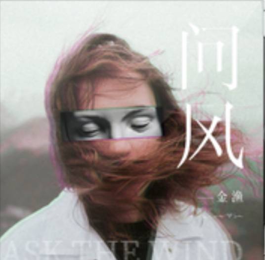 问风（金渔演唱的歌曲）