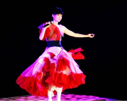 王菲2011巡唱哈尔滨站