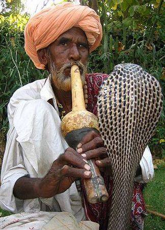 蛇人（南亚次大陆上一个古老而奇特的群体）